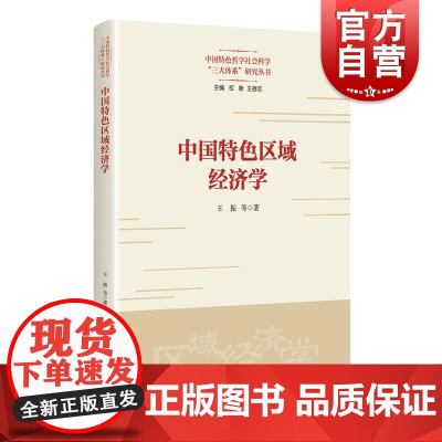 中国特色区域经济学 上海人民出版社王振 等著国情出发构建中国特色区域经济学理论框架
