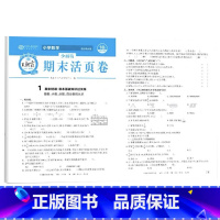 数学 期末活页卷(北师大版) 四年级上 [正版]王朝霞试卷三四五六年级上册下册王朝霞期末活页卷一页一练全套小学生语文数学