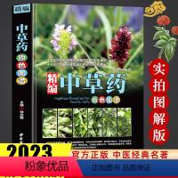 [正版]精编中国药典中药原色图谱中草药图鉴图谱中国药材图鉴 中医学书籍中药材大全 300余种常用中草药识别应用原色图片