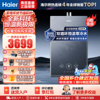 海尔(Haier)16升燃气热水器天然气双循环零冷水储热恒温舱五段微火控温密闭稳燃舱JSQ31-16KN7SFRAGU1