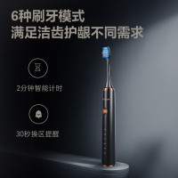 飞科(FLYCO) 电动牙刷智能蓝牙家用男女款声波震动无线充电式杜邦软毛FT7205 炫酷黑