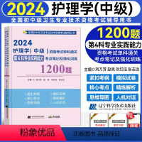 [正版]2024新版护理学(中级)资格考试单科通关第4科专业实践能力考点笔记及强化训练全国卫生资格考试 主管护师202