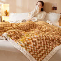 A类2.4kg双层毛毯180*200cm