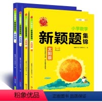 暑期热卖[太阳+月亮版]语文数学4本套装 4-6年级 小学通用 [正版]新颖题集锦太阳版知识大盘点语文数学四五六年级主题