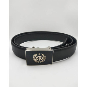 斯派尼2106水政徽章