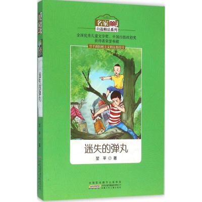 醉染图书迷失的弹丸9787539786803