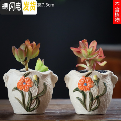 三维工匠可画画上色彩多肉小花盆陶瓷粗陶透气创意肉肉植物盆 宝蓝色图片款[2个装] 中等花盆容器