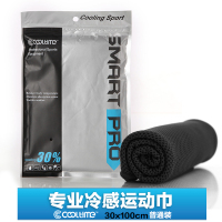 冷感健身运动吸汗毛巾跑步户外冰凉巾降温速干定制logo 30*100cm 普通装
