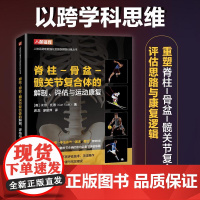 运动康复书籍 脊柱-骨盆-髋关节复合体的解剖评估与运动康复 运动损伤解剖学 腰部康复训练