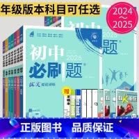地理 人教版 八年级下 [正版]2025初中必刷题七年级八年级九年级下册上册数学英语物理化学生物历史道德与法治地