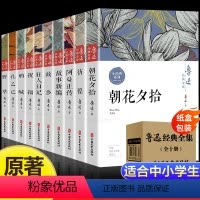 全10册-鲁迅经典全集 [正版]10册鲁迅全集原著经典散文小说六七五年级必读的课外阅读书籍朝花夕拾狂人日记故乡呐喊野草彷