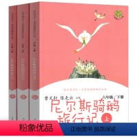 六年级下 尼尔斯骑鹅记 [正版]快乐读书吧爱的教育小英雄雨来童年全套 六年级上册下册课外书阅读鲁滨逊漂流记汤姆索亚历险记
