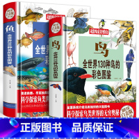 鱼+鸟 彩色图鉴 [正版]全世界300种鱼130种鸟的彩色图鉴全彩白金版 鱼类鉴赏大全 青少年鱼类认知书籍 鱼类大全 鱼