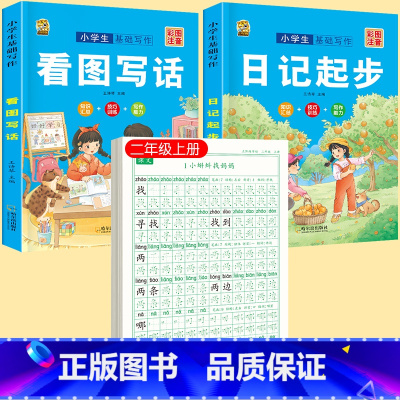 [上册]同步字帖2上+ 看图写话+日记起步 [正版]二年级上册下册同步练字帖语文人教版小学生硬笔书法练字本楷书笔画笔顺儿
