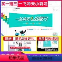 小复习 八年级上册[语数英物]套装 初中通用 [正版]科目任选2024小复习七年级八年级上册下册语文数学英语物理道德与法