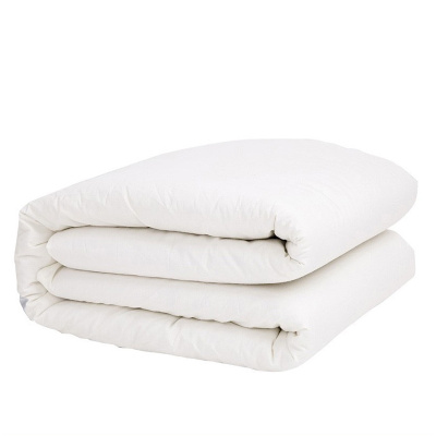 岱润 褥子 单人 个