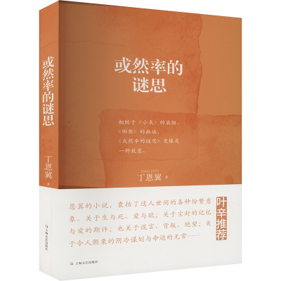 正版新书]或然率的谜思丁恩翼9787532191710