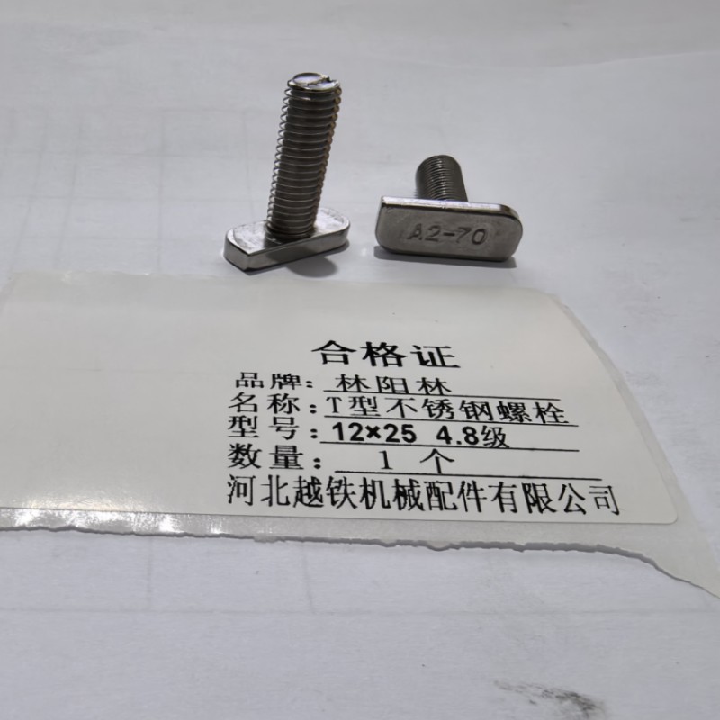 林阳林 T型不锈钢螺栓 12x25 4.8级 1个