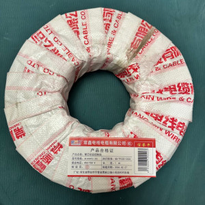 常顺鑫 硬芯铠装控制线ZR-KVVP22 450/750V 2×4 米