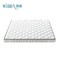 围盛 椰棕床垫 100*200*5cm-云舒白 张