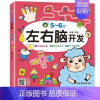 单册 [正版]五岁儿童智力书 大班宝宝全脑开发训练书籍5到6岁孩子记忆力专注力书语言数学分类配对综合训练早教图书左右脑智