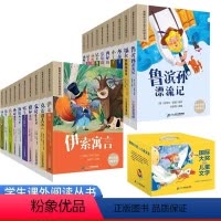 国际获奖文学全套20册礼盒装 [正版]国际获奖小说注音版全套20册一年级阅读课外书必读名家名作适合二三年级小学生老师带拼