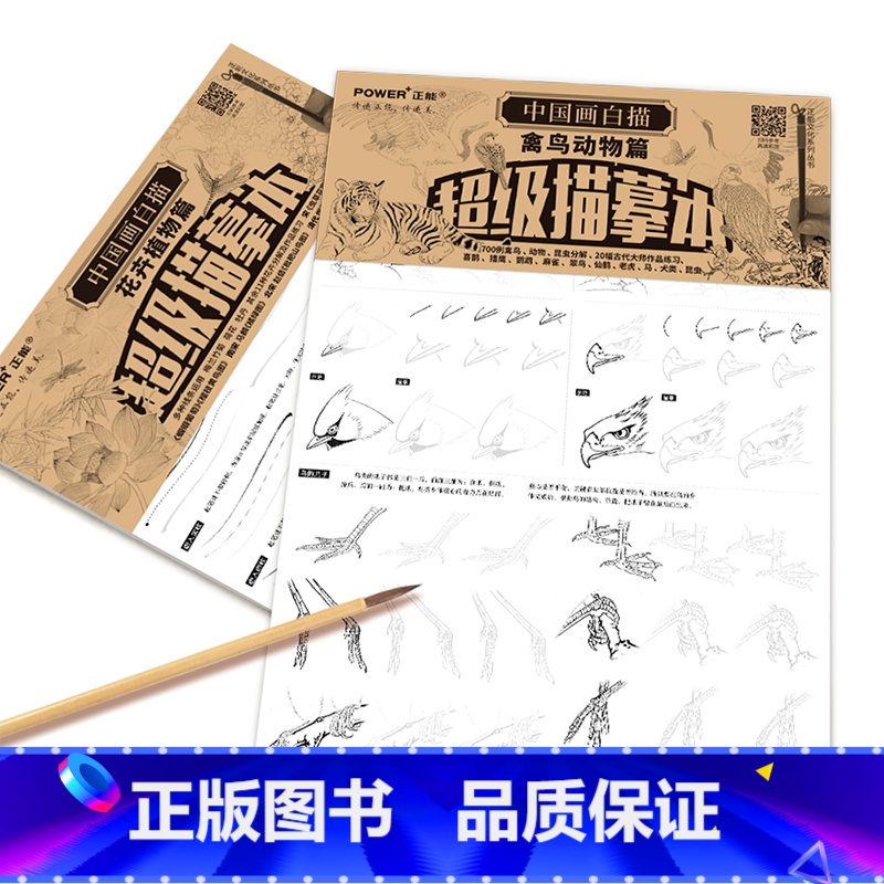 [正版]国画花鸟白描入门套装 勾线笔墨汁墨碟 工笔花鸟画底稿临摹 花鸟鱼虫虎猫马犬 白描临摹画册 临摹画本 国画描摹本