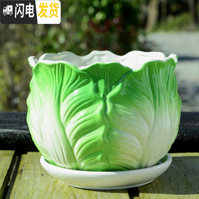 三维工匠花盆陶瓷大号特大家用带托盘创意绿萝室内简约小多肉花盆 S1包菜单个 特大花盆容器
