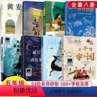 (2023暑假)五年级暑假百班千人全8册 [正版]2024寒假阅读百班千人五年级指间阳光奇迹追星星的少年戴维和猫少女红衬