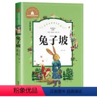 兔子坡 [正版]洋葱头历险记 注音版二年级一年级三年级课外书老师小学生课外阅读书籍中国少年儿童读物童话故事书必读