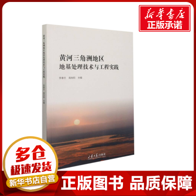 黄河三角洲地区地基处理技术与工程实践