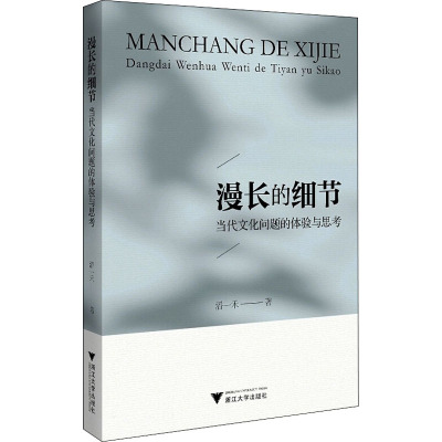 漫长的细节:当代文化问题的体验与思考