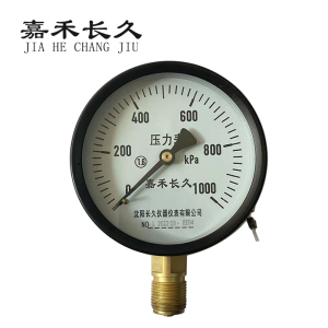 嘉禾长久/风表(压力表)1.6级/Y100 0-1000KPA/个