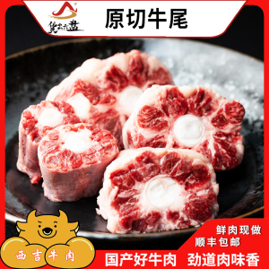 货出六盘 宁夏西吉县谷草饲喂养 六盘山牛肉 精品黄牛 牛尾6斤