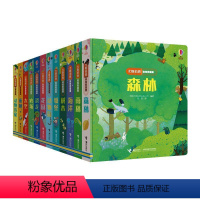 偷偷看里面系列全套 [正版]尤斯伯恩偷偷看里面全套12册 1-3岁低幼版婴幼儿儿童绘本故事书籍硬壳皮读物经典幼儿启蒙认知