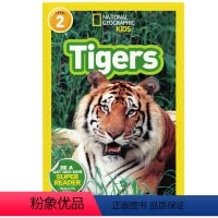 [正版]英文原版绘本National Geographic Kids Level2:Tigers 老虎 国家地理分级