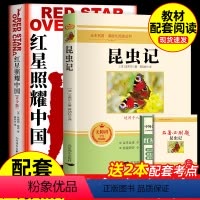 [配套人教版 4册]八年级上下册必读正版 [正版]八年级上红星照耀中国 昆虫记法布尔 西行漫记 完整版八年级上册课外书阅