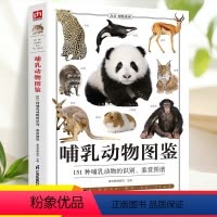 [正版]哺乳动物图鉴科普 400多幅精美的哺乳动物图片 文字简洁 高清晰度彩色图片具有很高的欣赏价值自然观察日记博物大