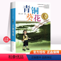 [正版]青铜葵花曹文轩获奖作品 三年级四年级五年级六年级江苏少儿出版社儿童小说奖江苏凤凰少年儿童出版社 曹文轩的青铜葵