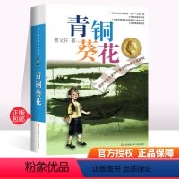 [正版]青铜葵花曹文轩获奖作品 三年级四年级五年级六年级江苏少儿出版社儿童小说奖江苏凤凰少年儿童出版社 曹文轩的青铜葵