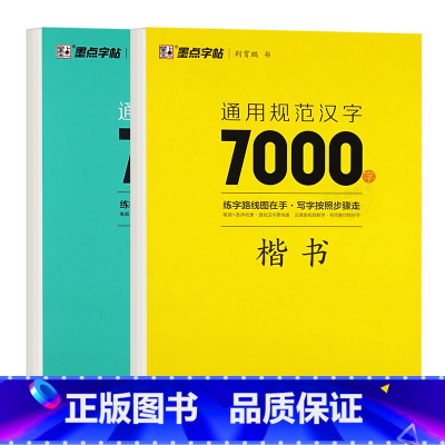 [大开本全2册]汉字7000字-楷书+行楷 [正版]荆霄鹏楷书行楷字帖通用规范汉字7000字常用字楷体字帖初学者硬笔书法