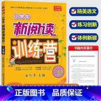 [正版]新版滕衍平主编 小学生新阅读训练营二年级语文上册下册人教版 小学2年级阅读分析理解语句组词造句作文训练辅导训练