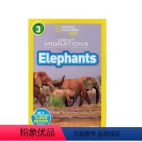 [正版]进口英文原版绘本 National Geographic Kids Level3:Elephants 国家地理