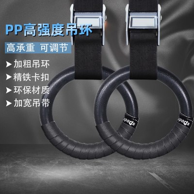 吊环健身家用室内成人引体向上拉环健身腰椎脊椎训练