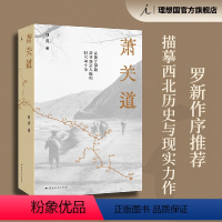 萧关道 [正版]萧关道 胡成 著 罗新作序 单向街书店文学奖 年度旅行写作获奖者 理想国