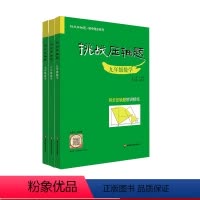 3册套装 初中通用 [正版]挑战压轴题 七年级八年级九年级数学 初中同步系列 同步压轴题精讲精练 7年级8年级9年级 马