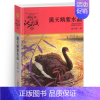 黑天鹅紫水晶 [正版]狼王梦沈石溪小学四年级五年级全集全套书浙江少年儿童出版社非注音版完整版动物小说大王品藏书系小学生课
