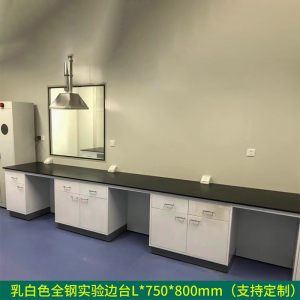 铭威盾全钢实验台钢木PP边台柜试验台化验室工作台实验室桌操作台定制(每米单价)