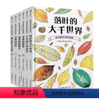 (6册)盛口满的手绘自然图鉴 [正版](4册)盛口满的手绘自然图鉴水果的秘密餐后骨头大考察蔬菜的植物学落叶的大千世界石头