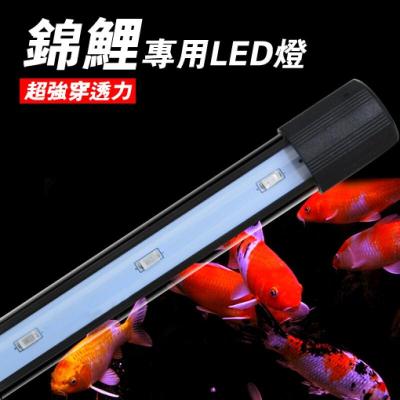 LED潜水灯锦鲤鱼照明水族鱼缸灯水中照明灯